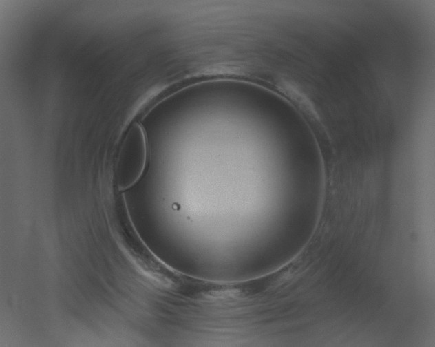 X0000051860108200506241331