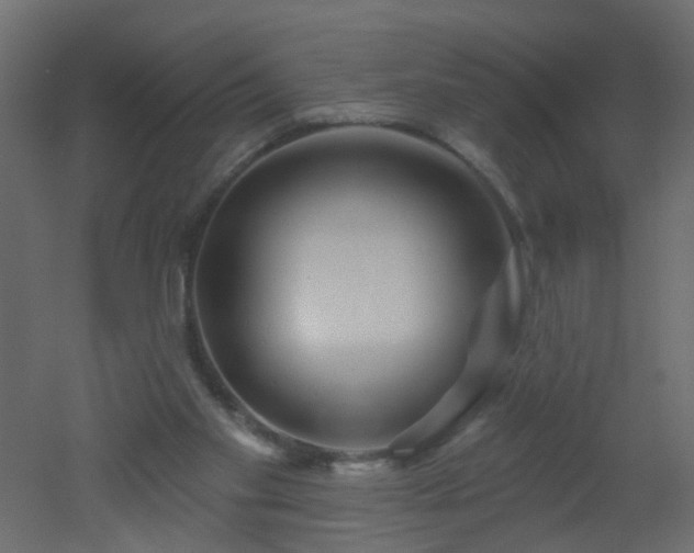 X0000051860109200506241331