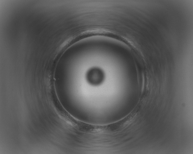 X0000051860111200506241331