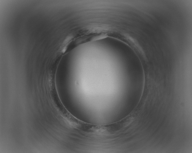 X0000051860113200506241331