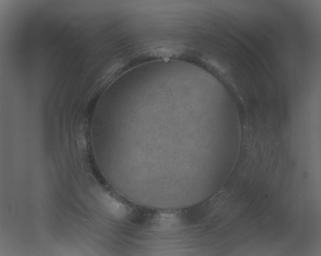 X0000051860114200506241331