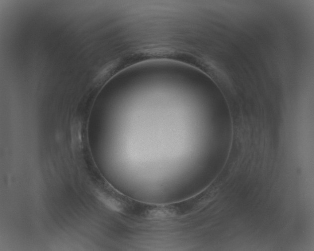 X0000051860115200506241331