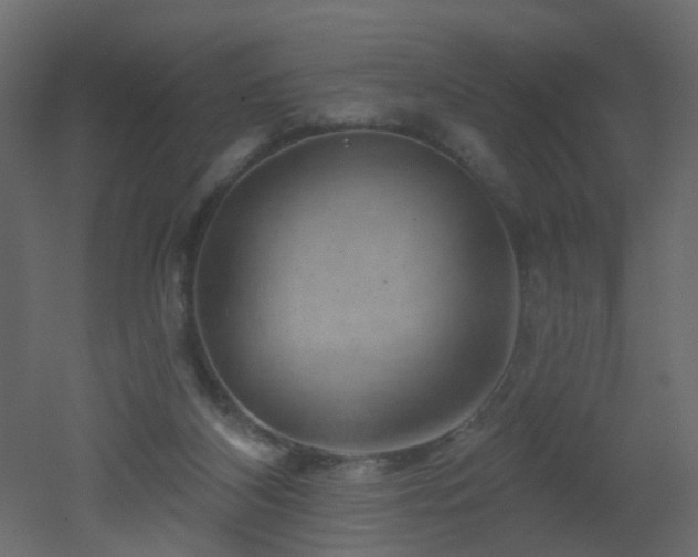 X0000051860116200506241331