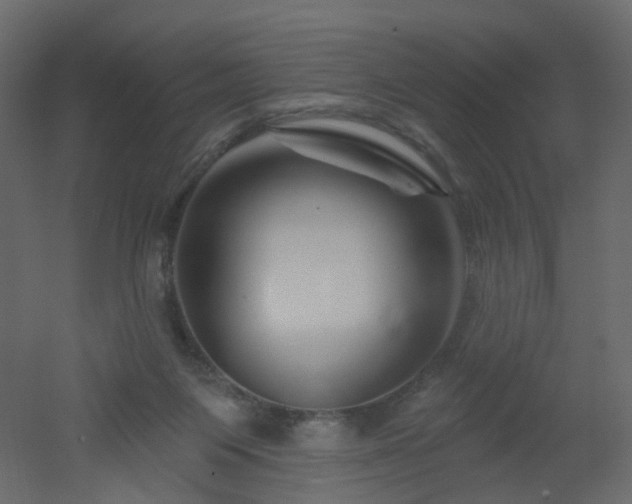 X0000051860119200506241331