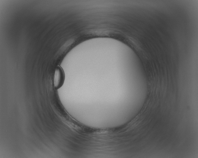 X0000051860120200506241331