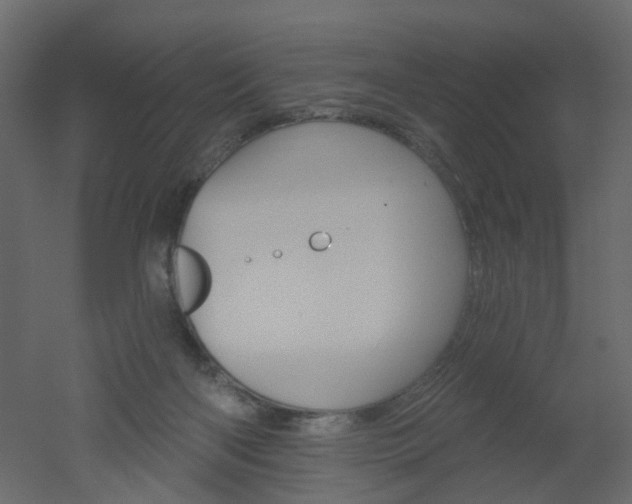 X0000051860122200506241331