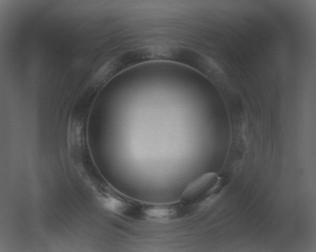 X0000051860123200506241331