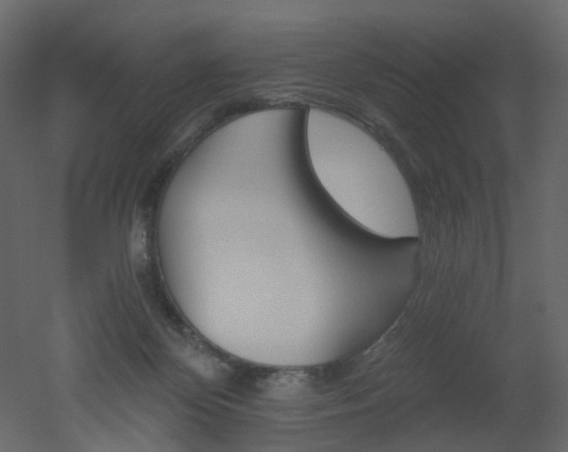 X0000051860124200506241331