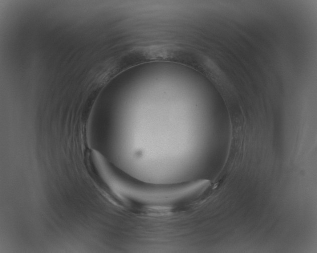 X0000051860125200506241331