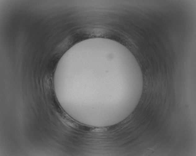 X0000051860126200506241331