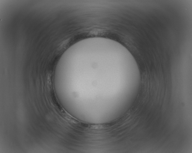 X0000051860127200506241331