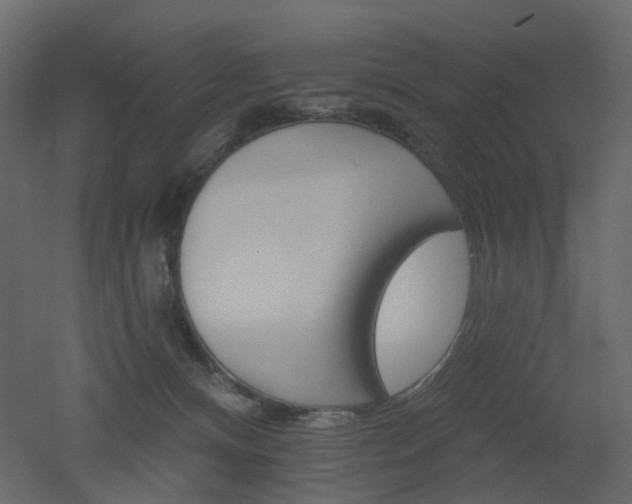 X0000051860128200506241331