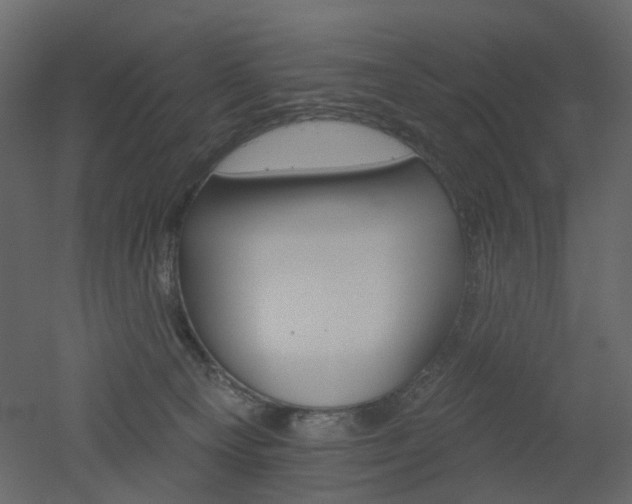 X0000051860129200506241331