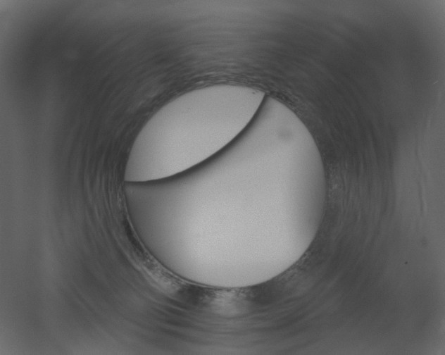 X0000051860130200506241331