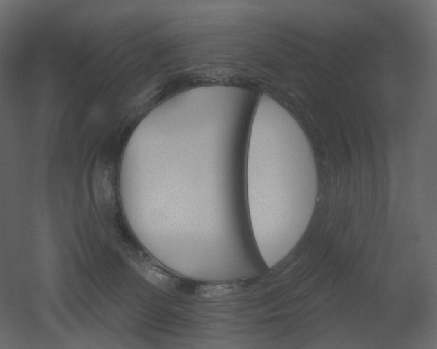 X0000051860131200506241331