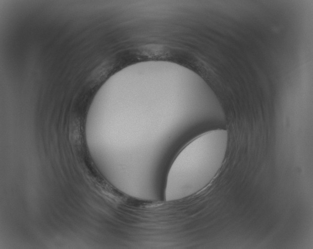 X0000051860132200506241331