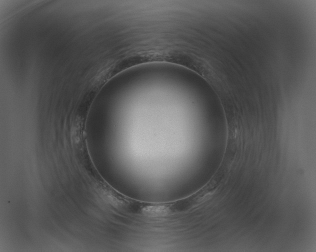 X0000051860133200506241331