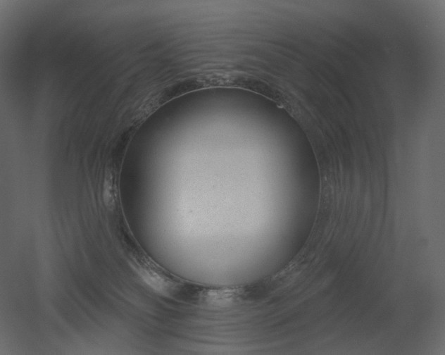 X0000051860134200506241331