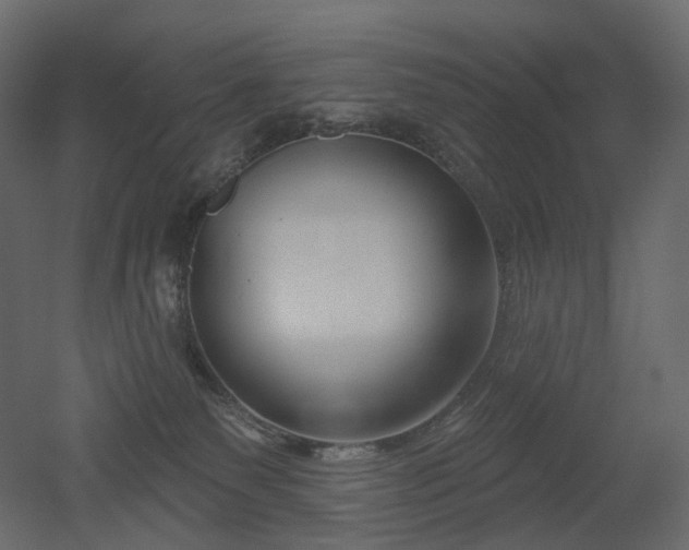 X0000051860135200506241331