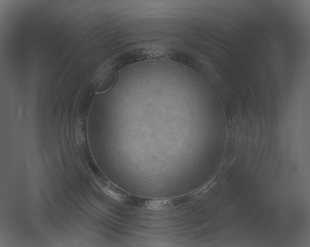 X0000051860136200506241331