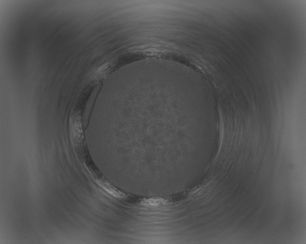 X0000051860137200506241331