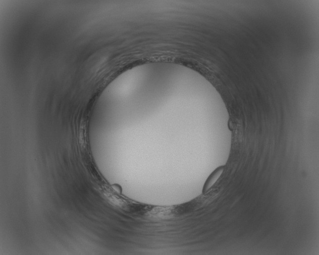 X0000051860138200506241331