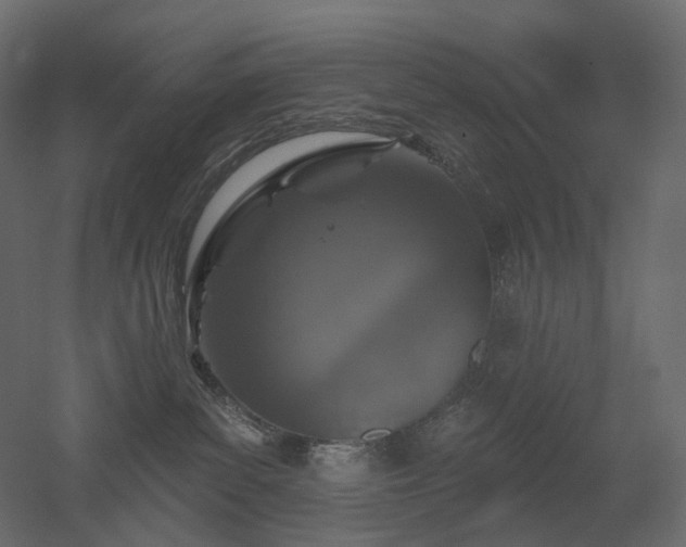 X0000051860139200506241331