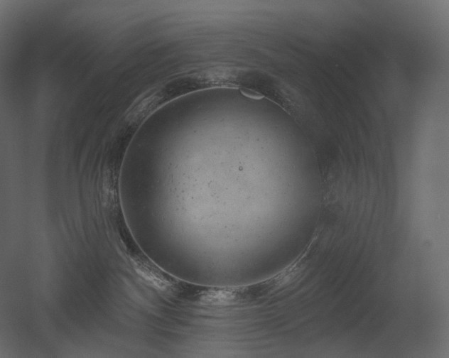 X0000051860140200506241331