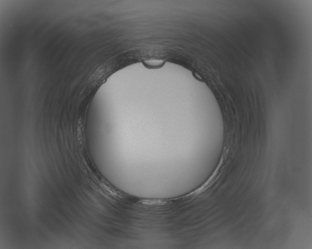 X0000051860144200506241331