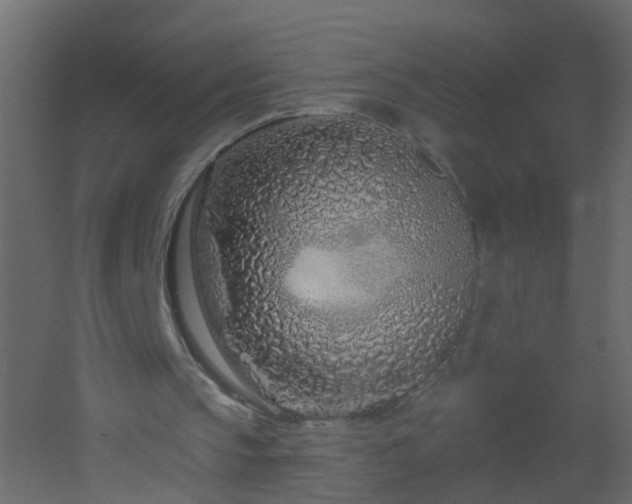 X0000051860145200506241330