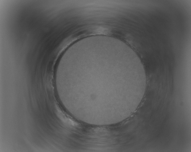 X0000051860146200506241330