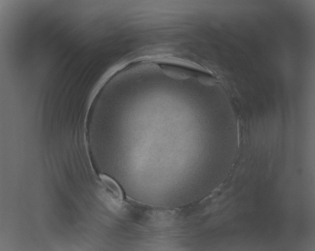 X0000051860147200506241330