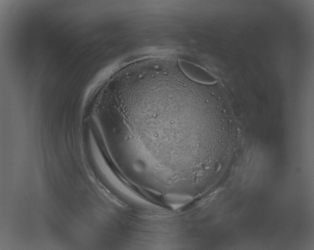 X0000051860149200506241330