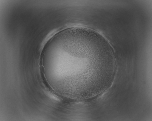 X0000051860151200506241330