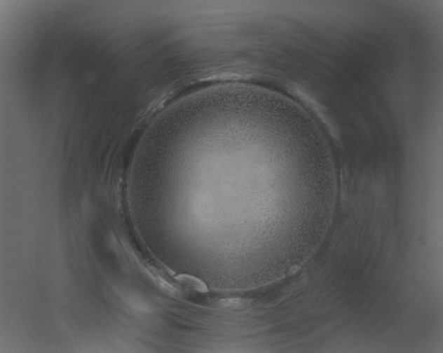 X0000051860153200506241330