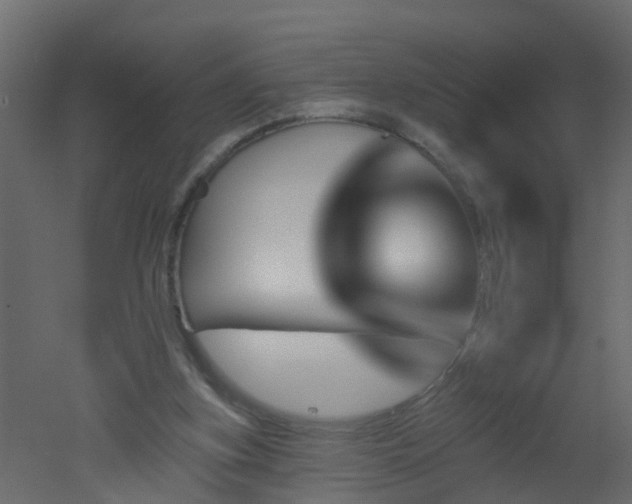 X0000051860155200506241330