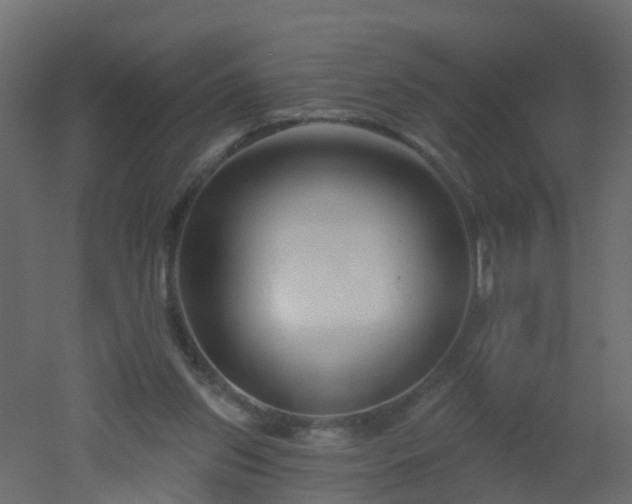 X0000051860157200506241330