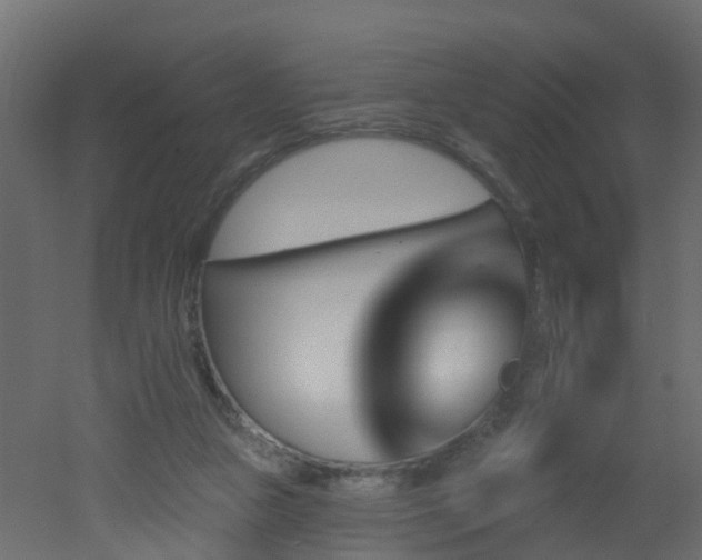 X0000051860161200506241330