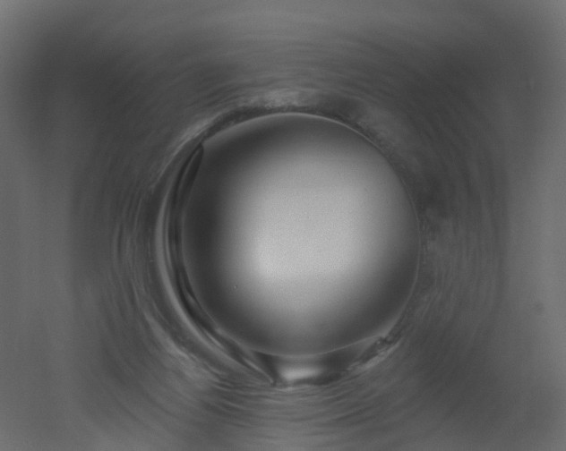 X0000051860164200506241330