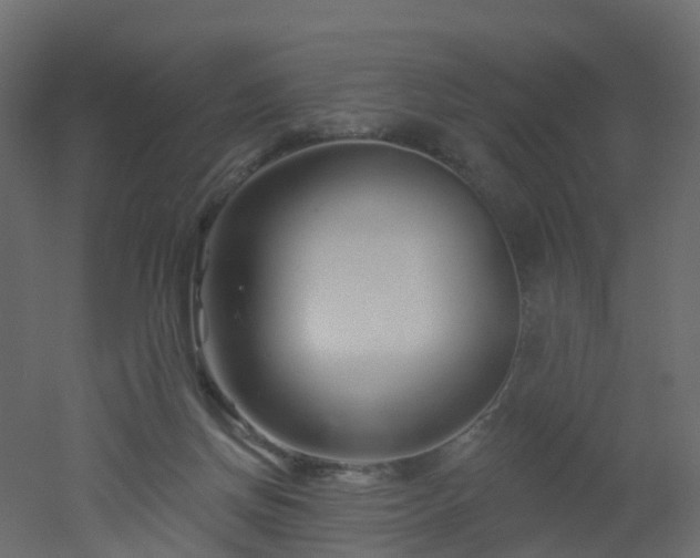 X0000051860166200506241330