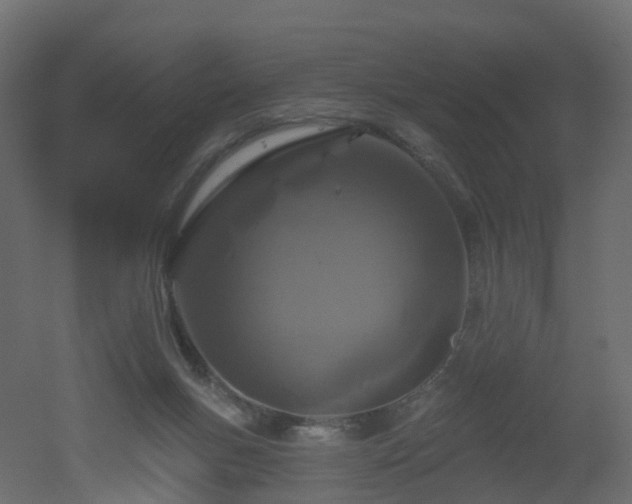 X0000051860167200506241330