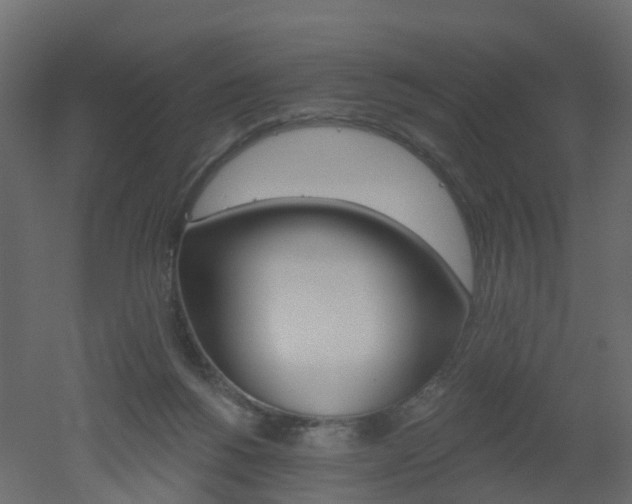 X0000051860168200506241330