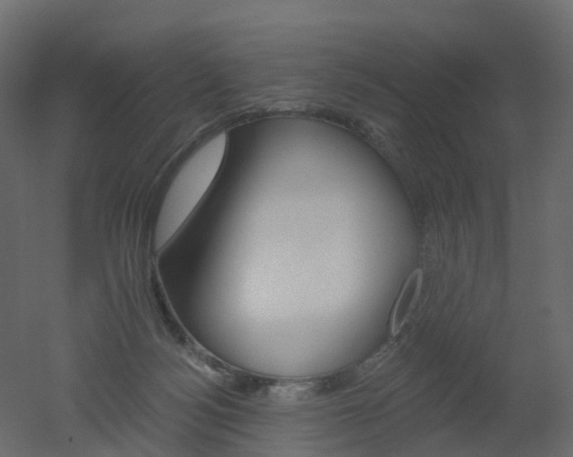 X0000051860172200506241330