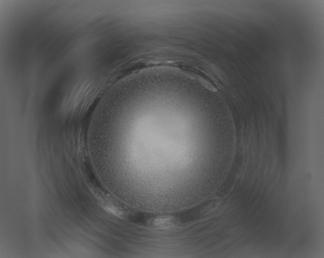 X0000051860173200506241330