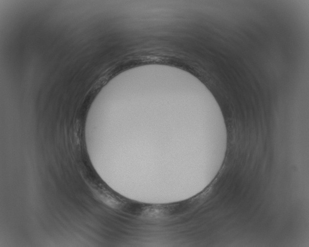 X0000051860174200506241330