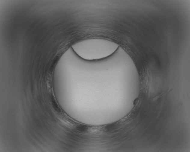 X0000051860175200506241330