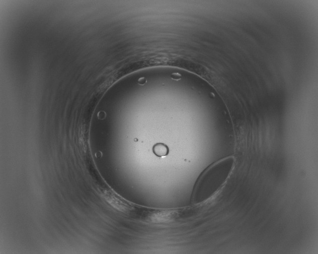 X0000051860178200506241330