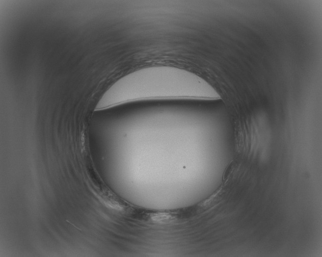 X0000051860183200506241331