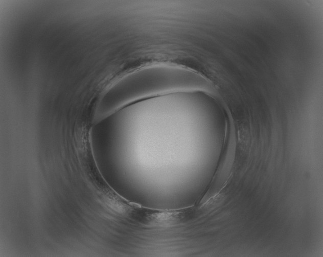 X0000051860184200506241331