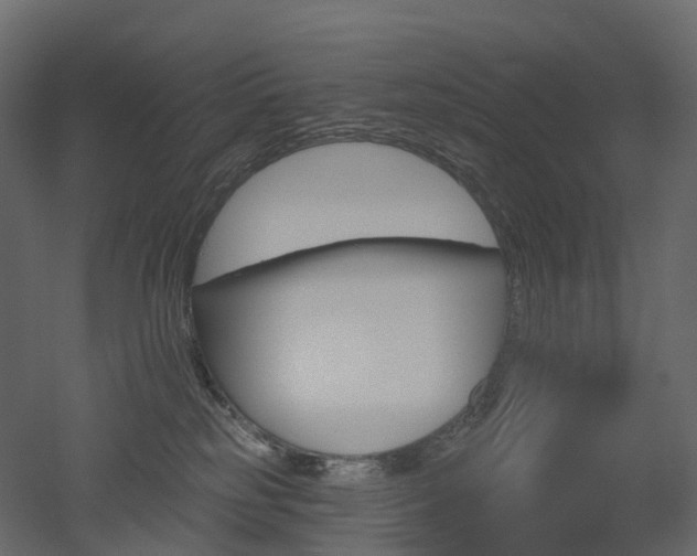 X0000051860185200506241331